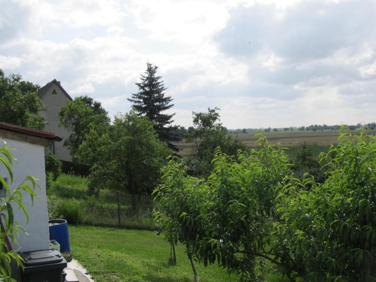 Zum Wiesengrund Im Oderbruch Altglietzen Екстериор снимка