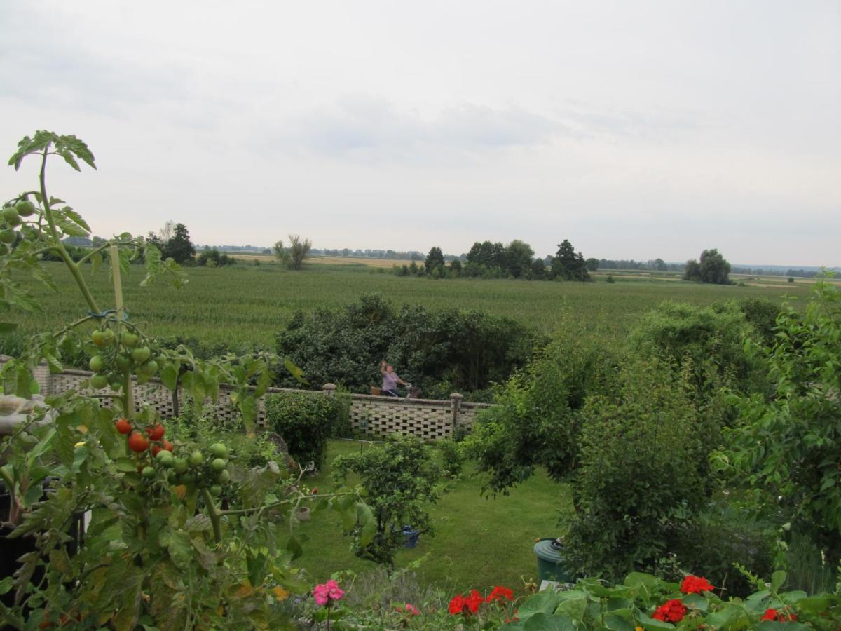 Zum Wiesengrund Im Oderbruch Altglietzen Екстериор снимка